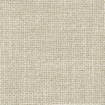 Color Swatch