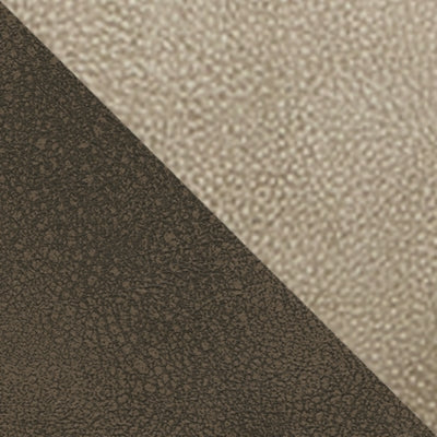 Color Swatch