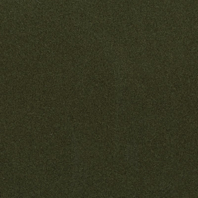 Color Swatch