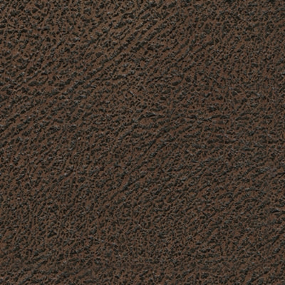Color Swatch