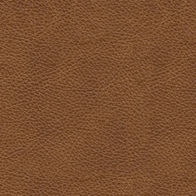Color Swatch