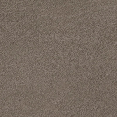Color Swatch