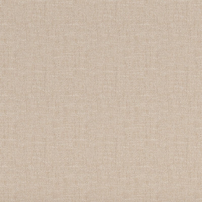 Color Swatch
