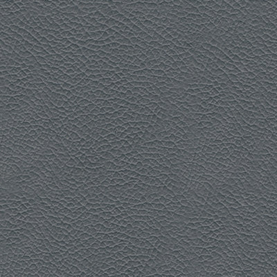 Color Swatch