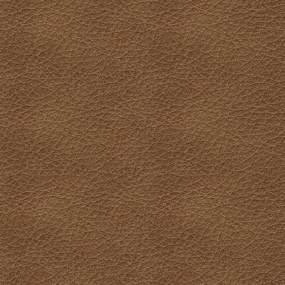 Color Swatch