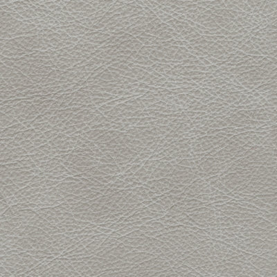 Color Swatch