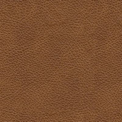 Color Swatch