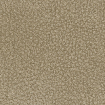 Color Swatch