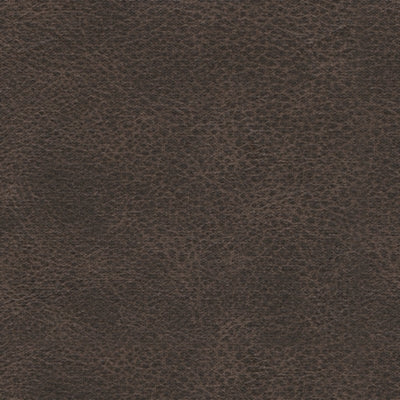 Color Swatch