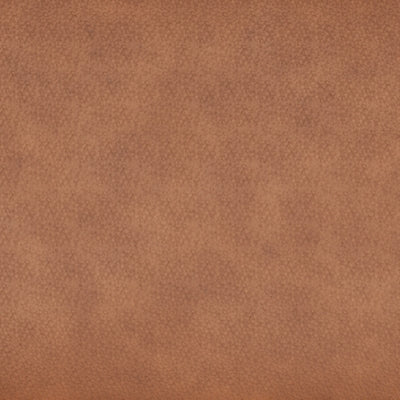 Color Swatch