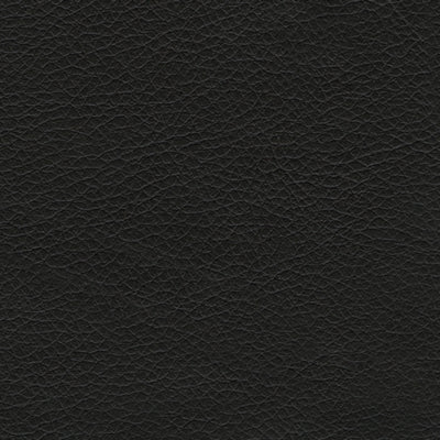 Color Swatch
