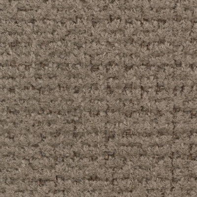 Color Swatch