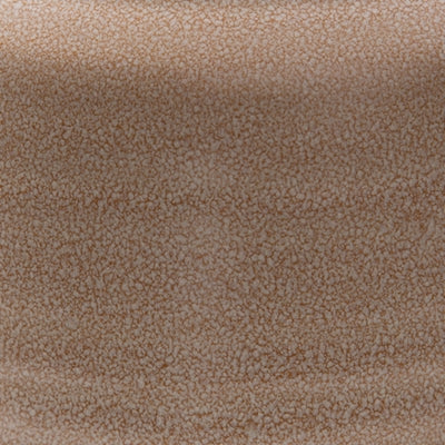 Color Swatch