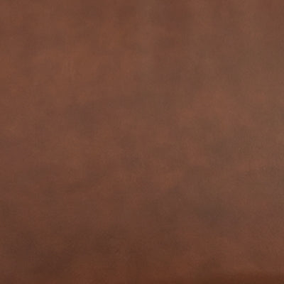 Color Swatch