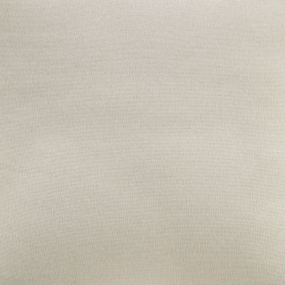Color Swatch