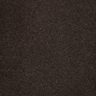 Color Swatch