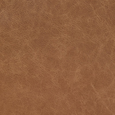 Color Swatch