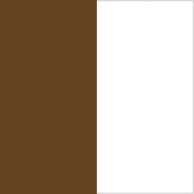 Color Swatch