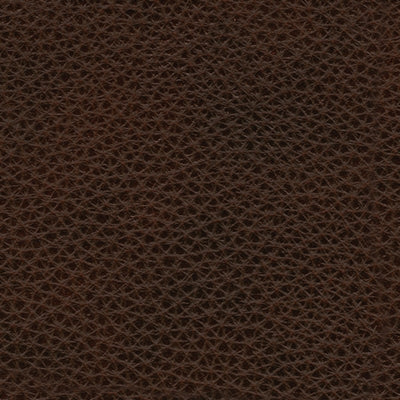 Color Swatch