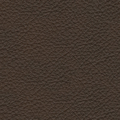 Color Swatch