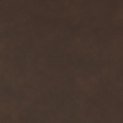 Color Swatch