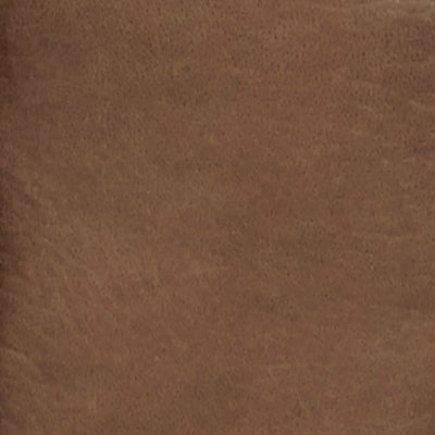 Color Swatch
