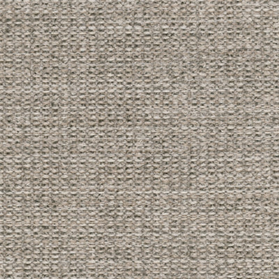 Color Swatch