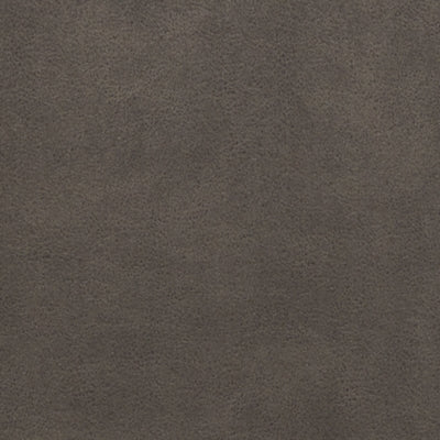 Color Swatch
