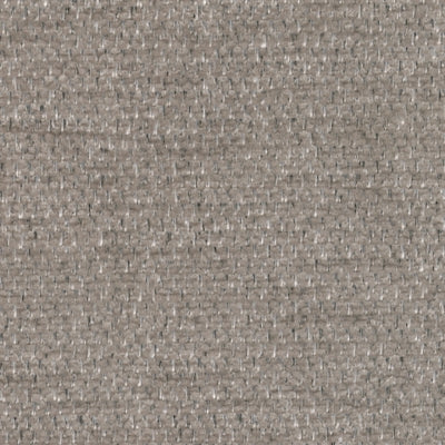 Color Swatch