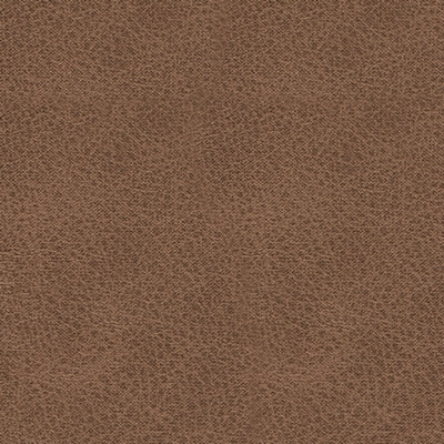 Color Swatch