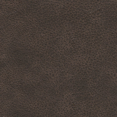 Color Swatch