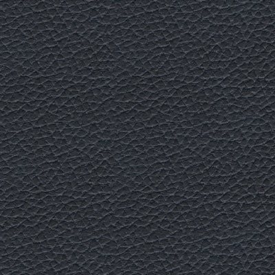 Color Swatch