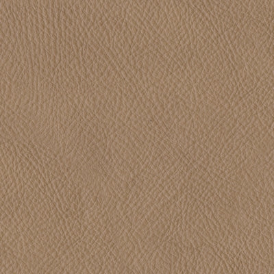 Color Swatch