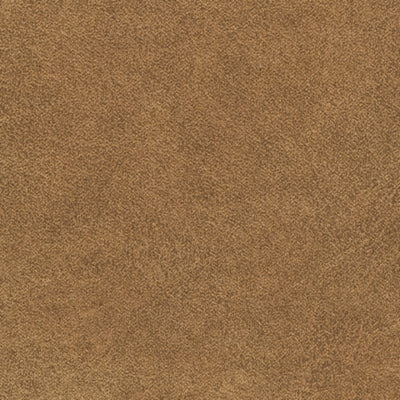 Color Swatch