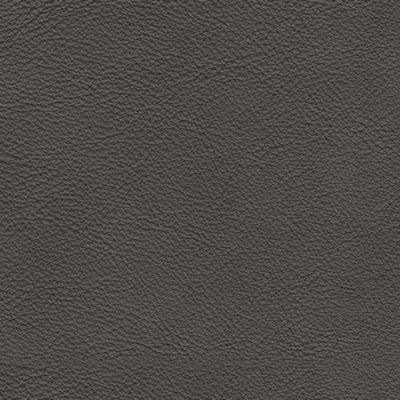 Color Swatch