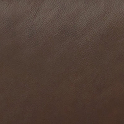 Color Swatch
