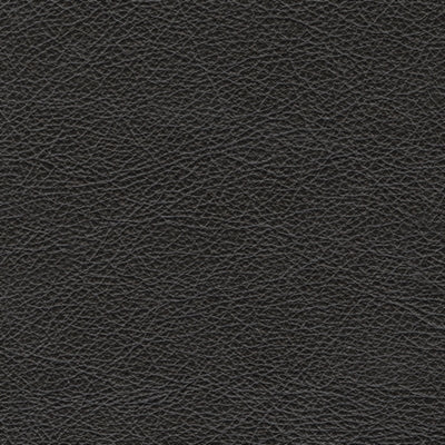 Color Swatch