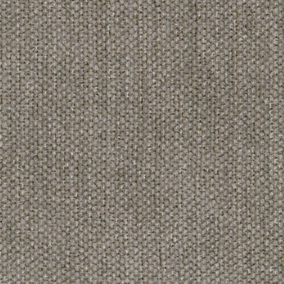 Color Swatch