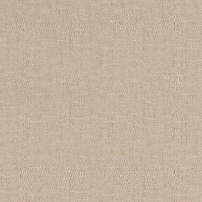 Color Swatch