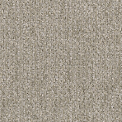 Color Swatch