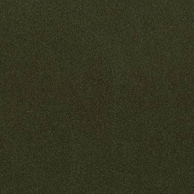 Color Swatch