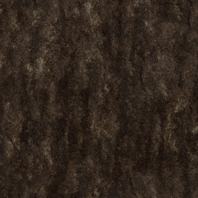 Color Swatch