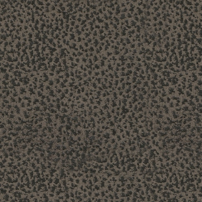 Color Swatch