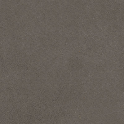 Color Swatch