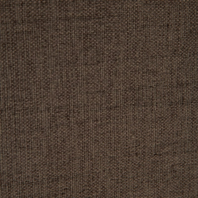 Color Swatch
