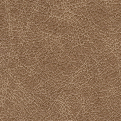 Color Swatch