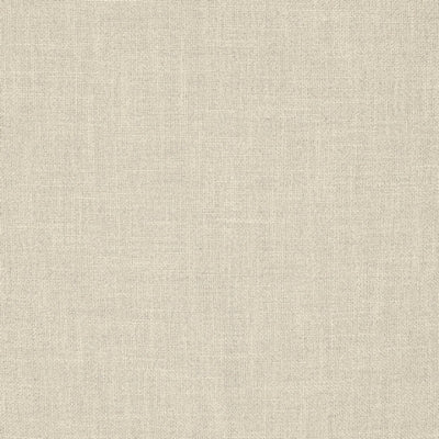 Color Swatch