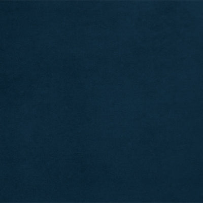 Color Swatch