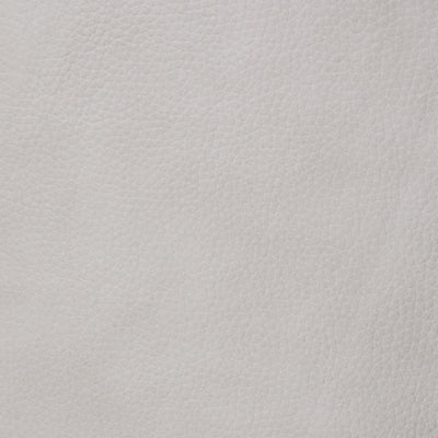 Color Swatch