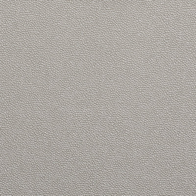 Color Swatch